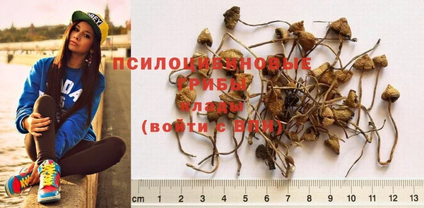 Альфа ПВП Мегион