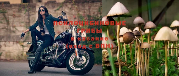 метадон Михайлов