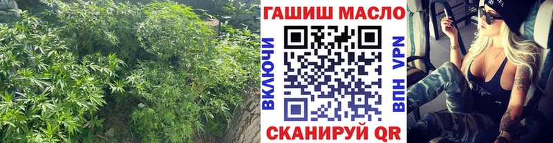 ТГК THC oil  магазин продажи   площадка какой сайт  Сольцы 